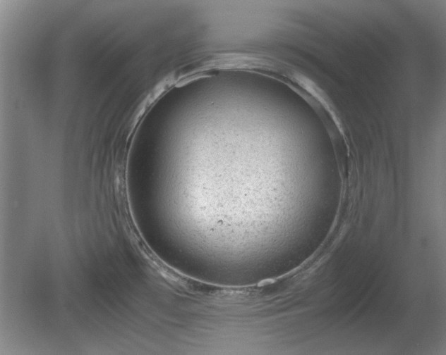 X0000078861481200611201300