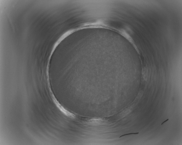 X0000078861482200611201300