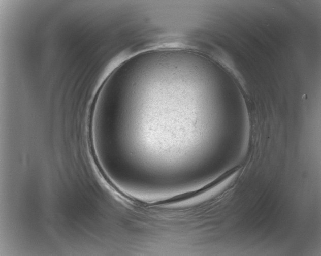 X0000078861483200611201300