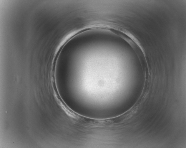 X0000078861485200611201300