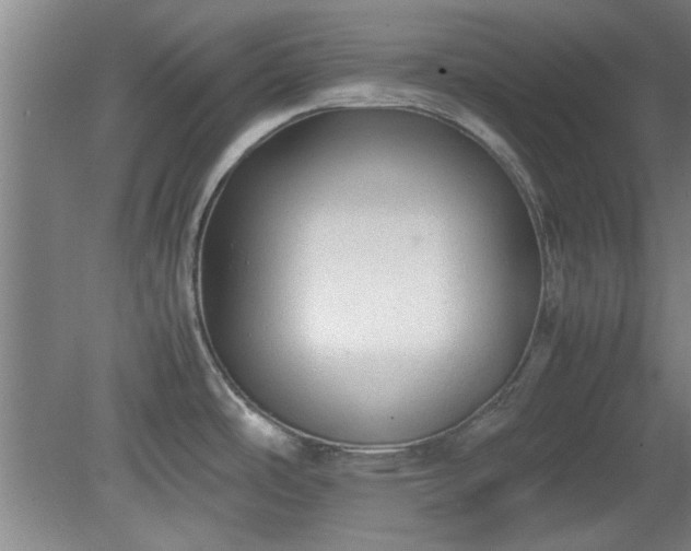 X0000078861486200611201300