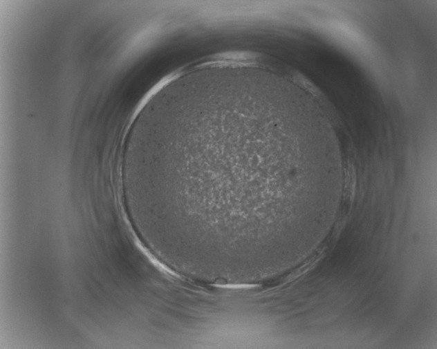 X0000078861487200611201300