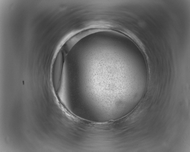 X0000078861488200611201300