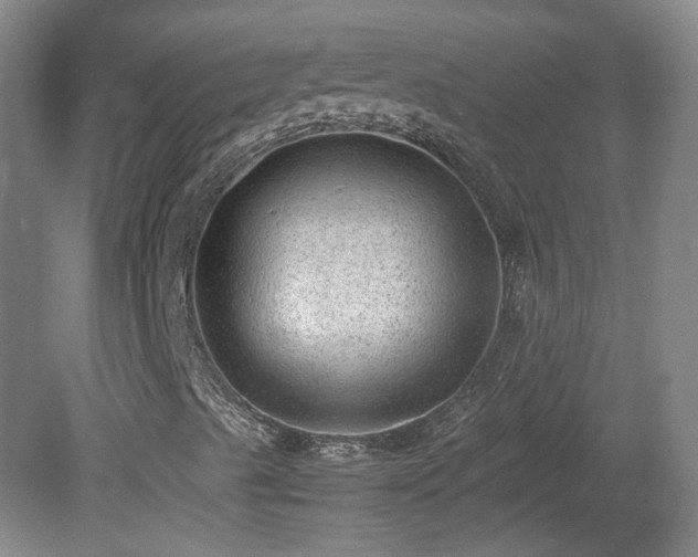 X0000078861489200611201259