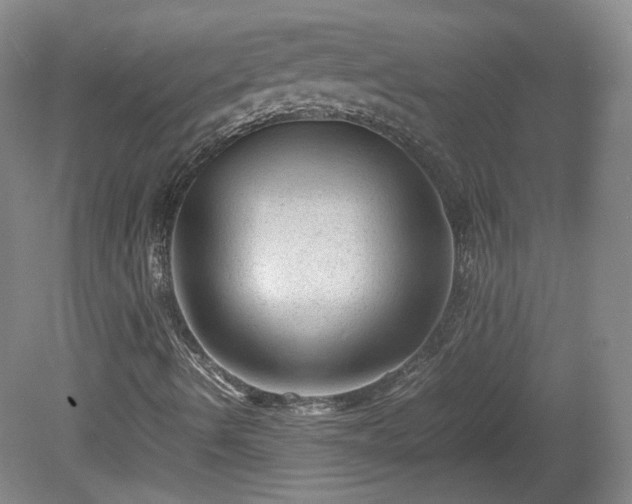 X0000078861490200611201259