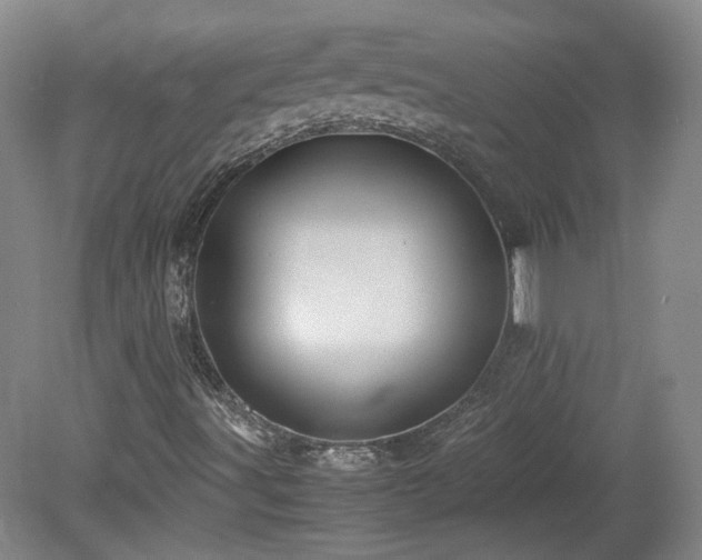 X0000078861491200611201259