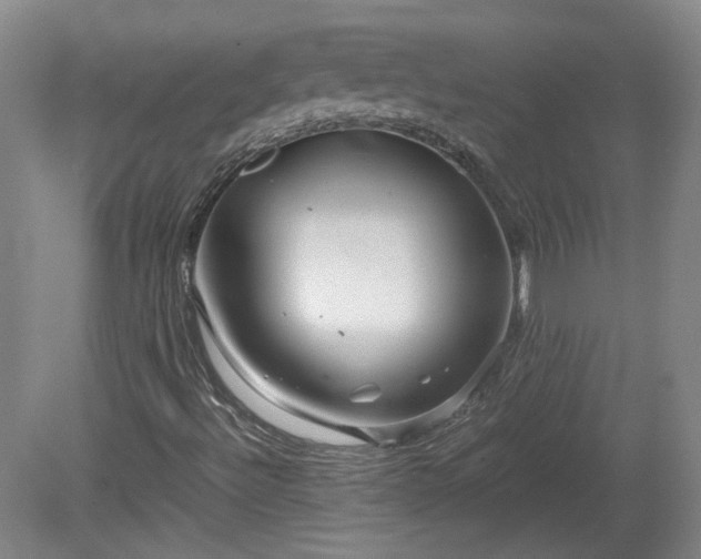 X0000078861492200611201259