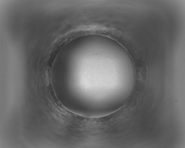 X0000078861493200611201259