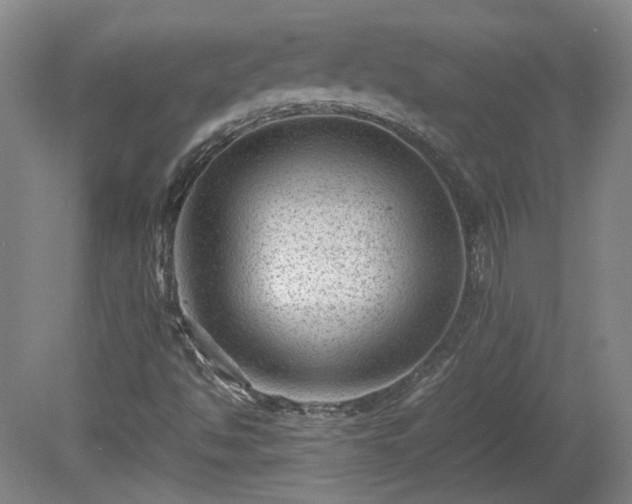 X0000078861494200611201300