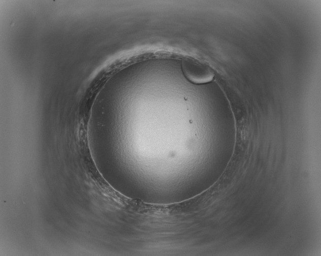 X0000078861495200611201300