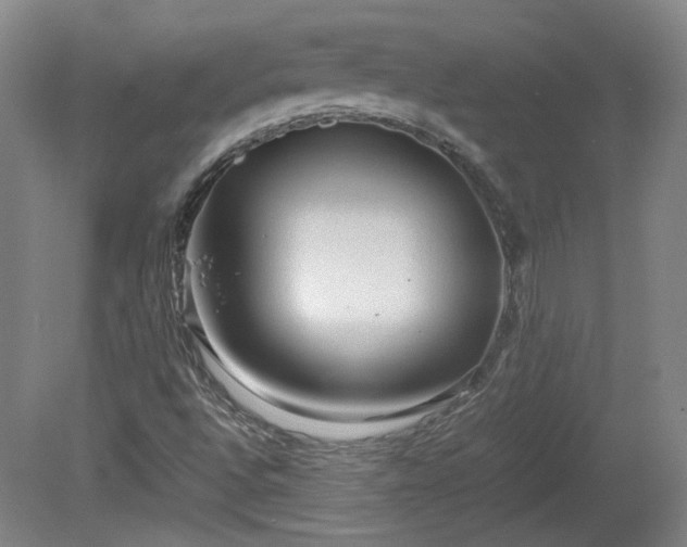 X0000078861496200611201300