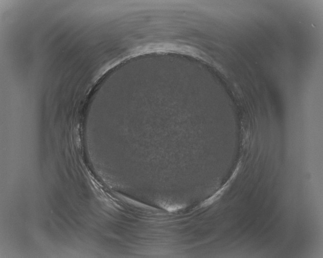 X0000078861497200611201300