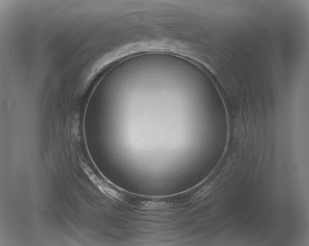 X0000078861499200611201300