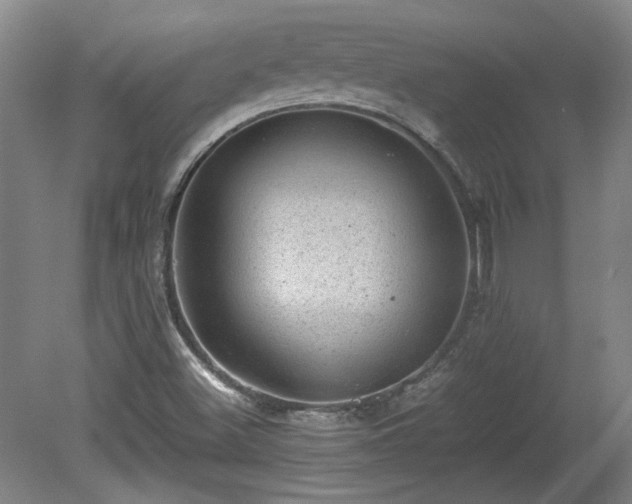 X0000078861500200611201300