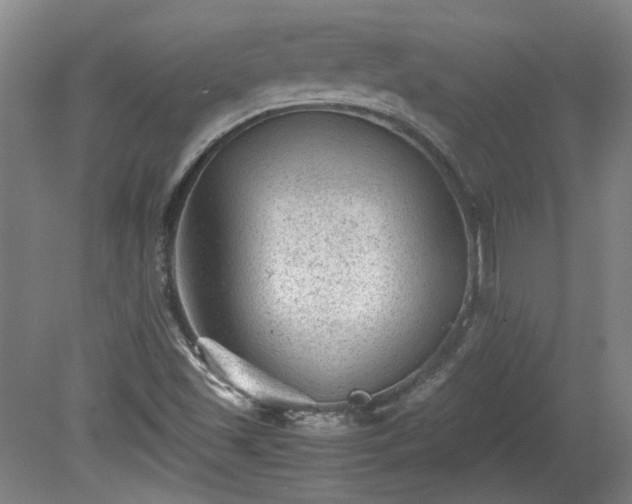 X0000078861501200611201300