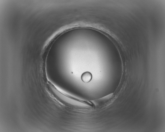 X0000078861502200611201300