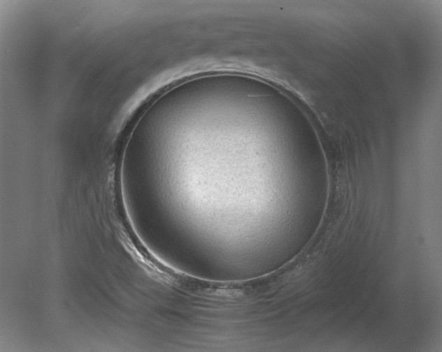 X0000078861503200611201300