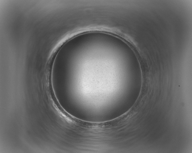 X0000078861504200611201300