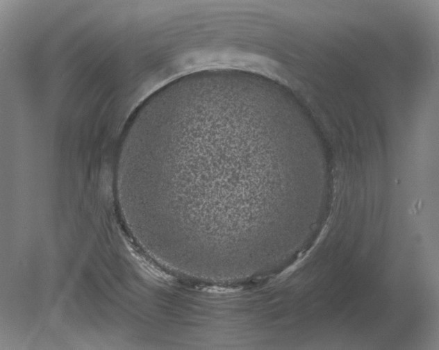 X0000078861505200611201300