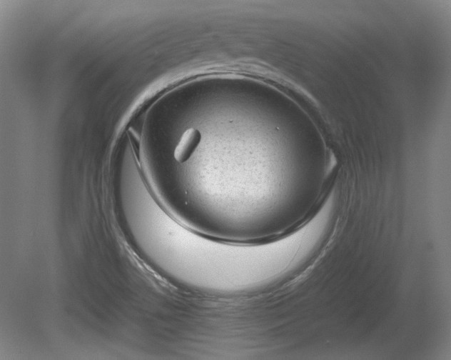 X0000078861506200611201300