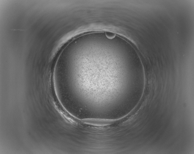 X0000078861507200611201300