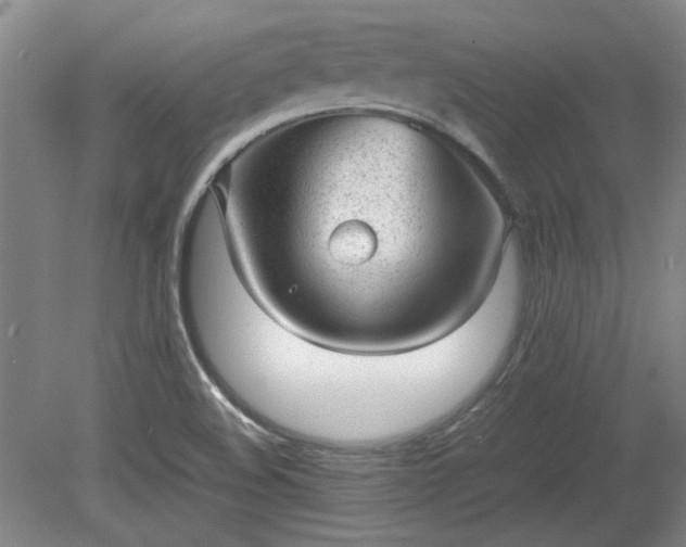 X0000078861508200611201300