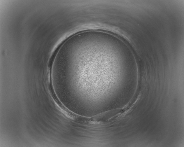 X0000078861509200611201300