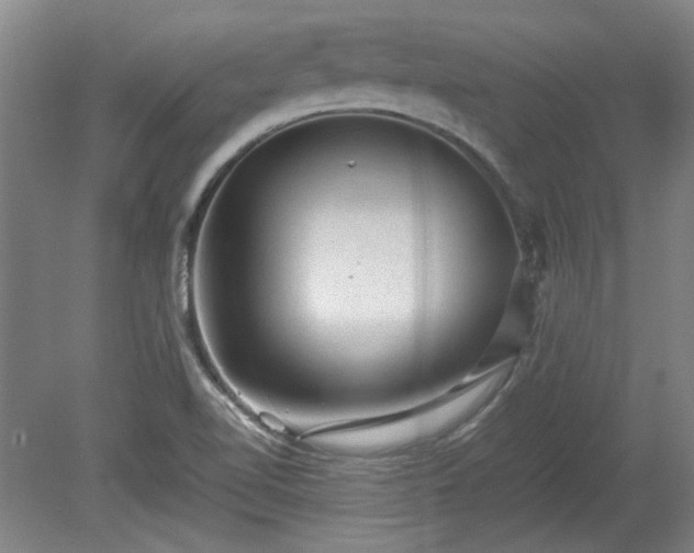 X0000078861510200611201300