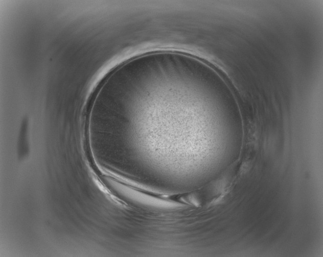 X0000078861511200611201300