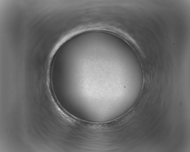 X0000078861512200611201300