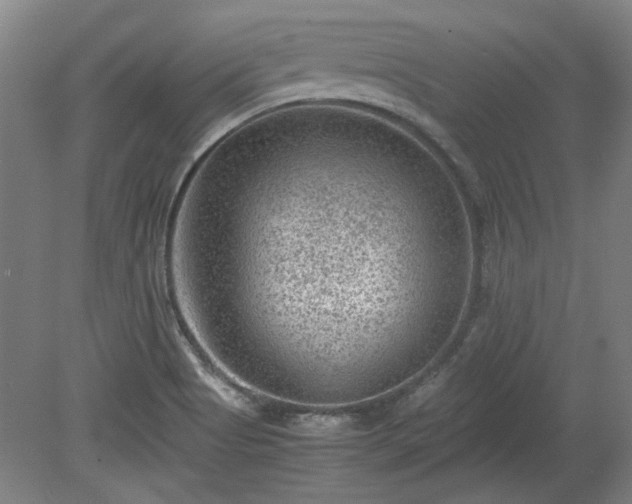 X0000078861513200611201300