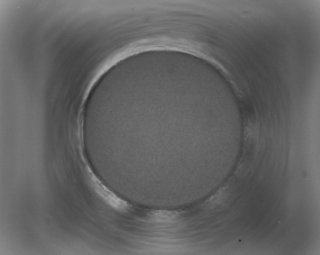 X0000078861514200611201300