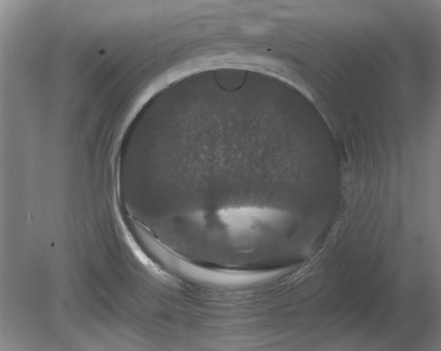 X0000078861515200611201300