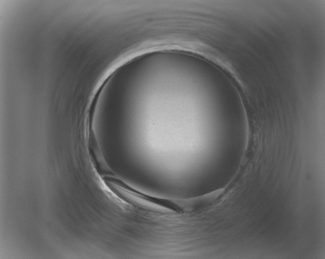 X0000078861516200611201300