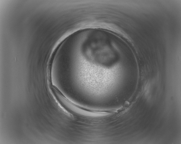 X0000078861517200611201300