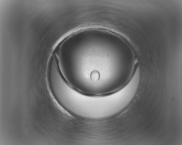 X0000078861518200611201300