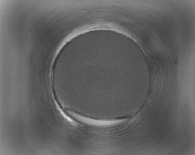 X0000078861519200611201300