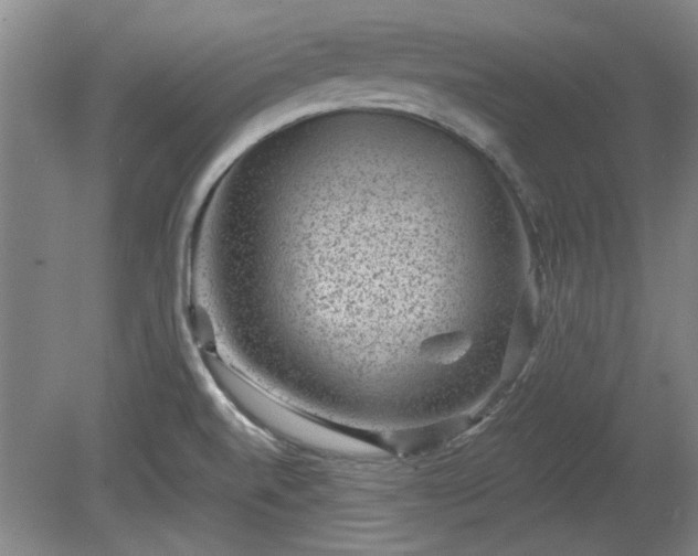 X0000078861520200611201300