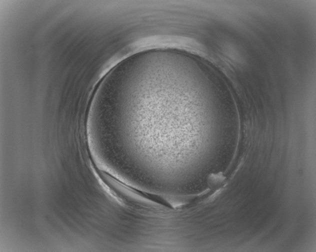 X0000078861521200611201300