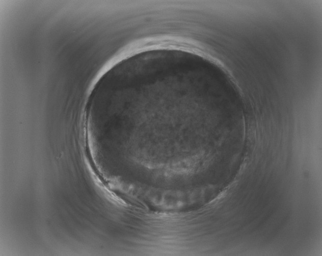 X0000078861522200611201300