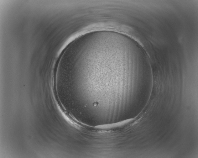 X0000078861523200611201300