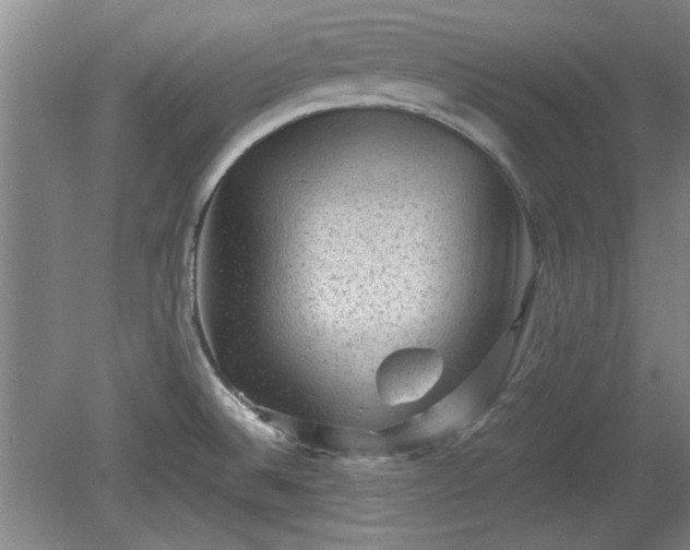 X0000078861524200611201300