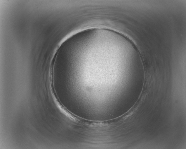 X0000078861526200611201300