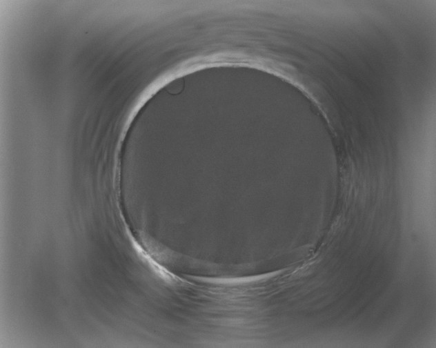 X0000078861527200611201300