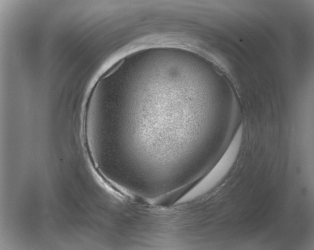 X0000078861528200611201300