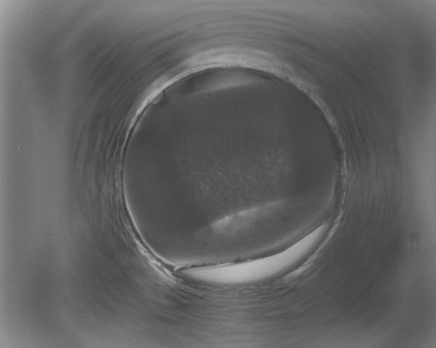 X0000078861529200611201300