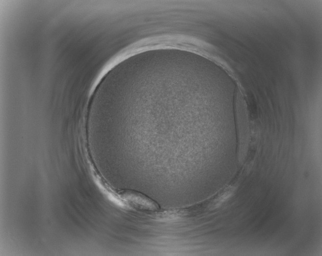 X0000078861530200611201300