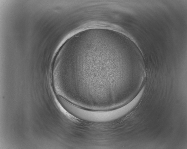 X0000078861531200611201300