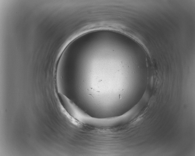 X0000078861532200611201300