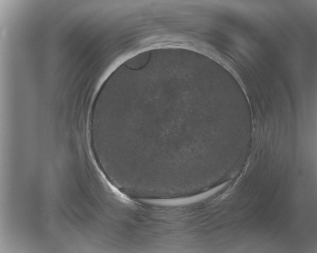 X0000078861533200611201300